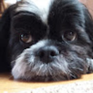 Meet your Posher, No